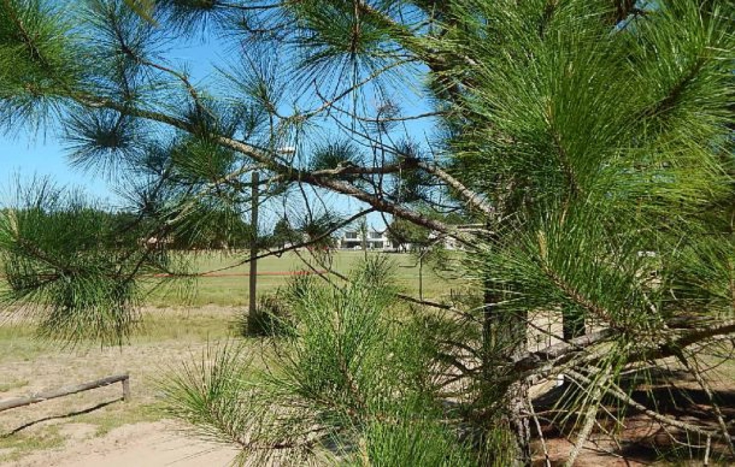 EXCEPCIONAL LOTE EN LA HERRADURA SOBRE CANCHA DE POLO. LOTE EN VENTA
